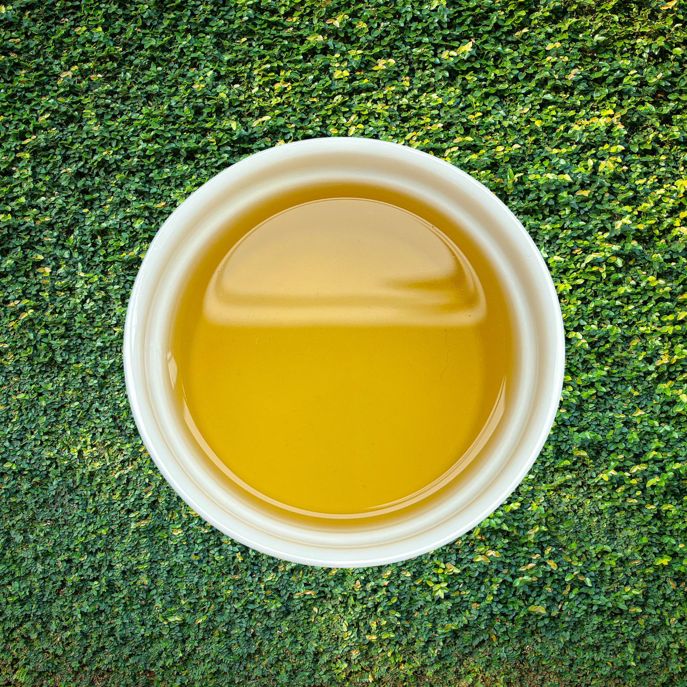 Prostate Power Blend